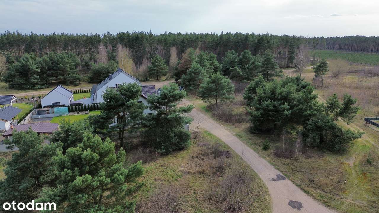 Działki budowlane w środku lasu blisko Wrześni Psary-1