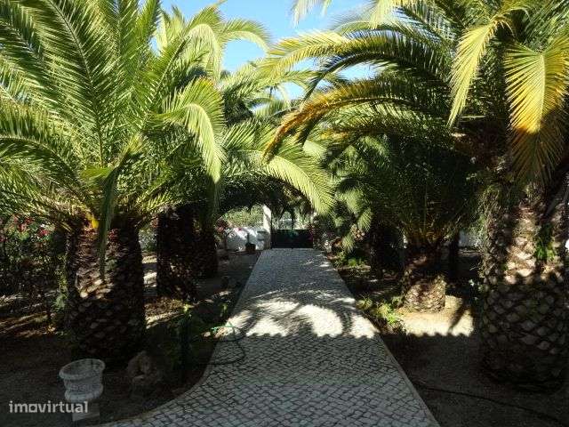 Quinta T/7 Cartaxo-28