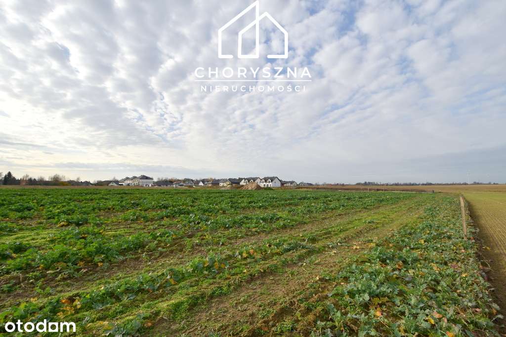 Namysłów - Stare Miasto - działka budowlana-6