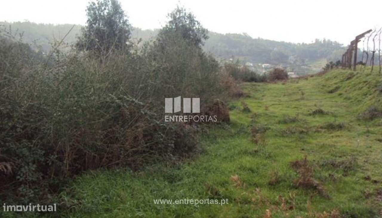 Venda Terreno, junto à estrada, Tabuado, Marco de Canaveses - Grande imagem: 5/8
