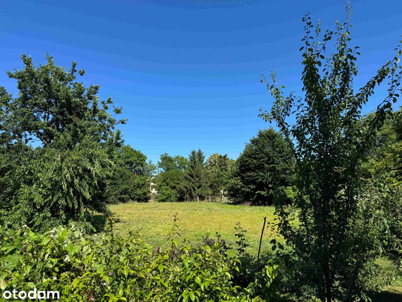 Atrakcyjna działka w dobrej lokalizacji-6