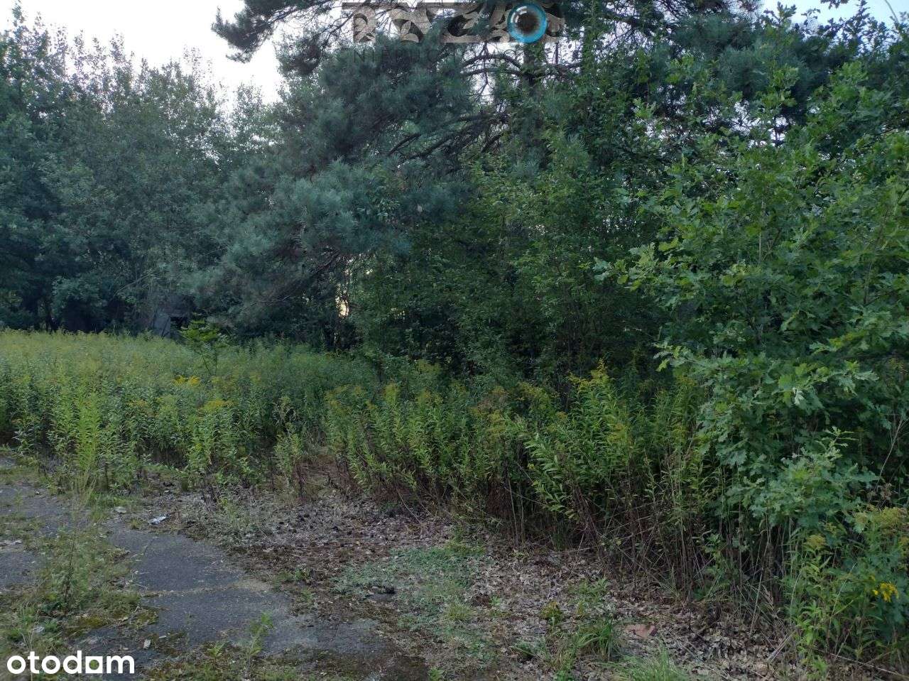 mieszkalno-usługowa przy: węzeł S2, Majaland-18