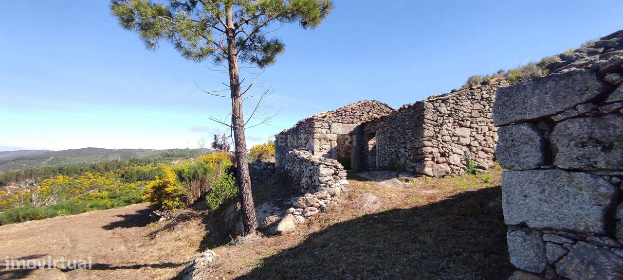 Terreno rústico São Vicente da Beira - Grande imagem: 2/35
