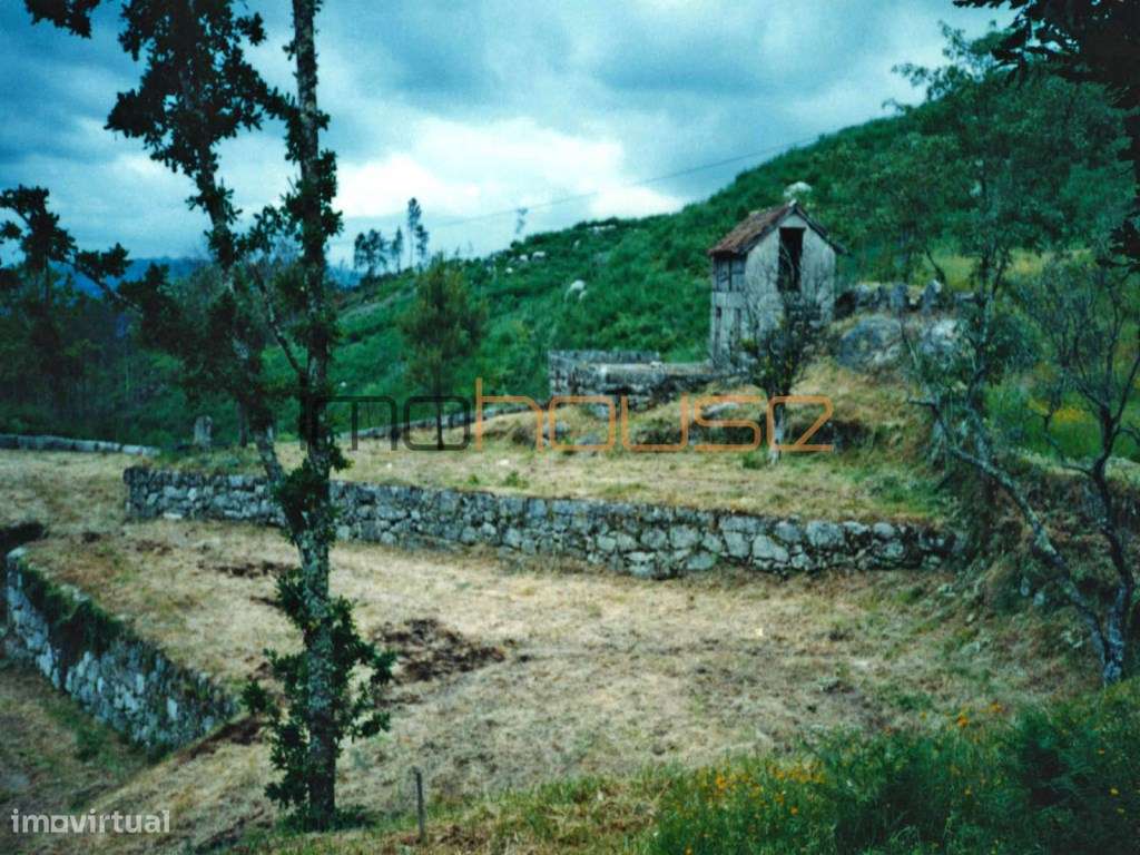 Quinta isolada - Amarante-38