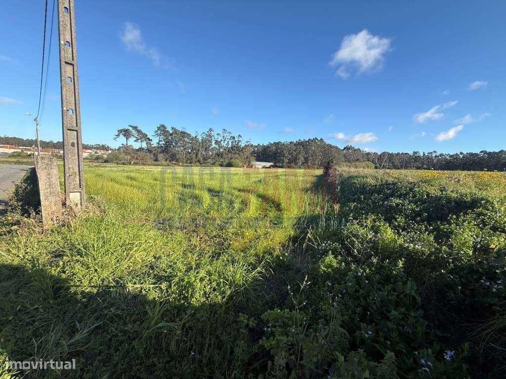 Terreno Rústico com 3.937 m² na Estela - Excelente Frente e Exposiç... - Grande imagem: 2/23