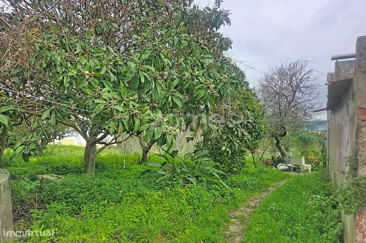 Moradia Lavos | Oportunidade| Investimento - Grande imagem: 5/29