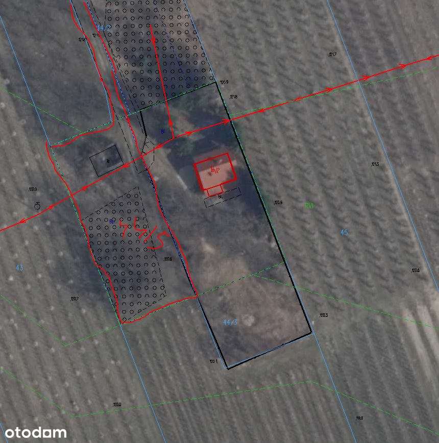 Sprzedam Działkę we Wsi Pilica - Pełny obrazek: 4/4