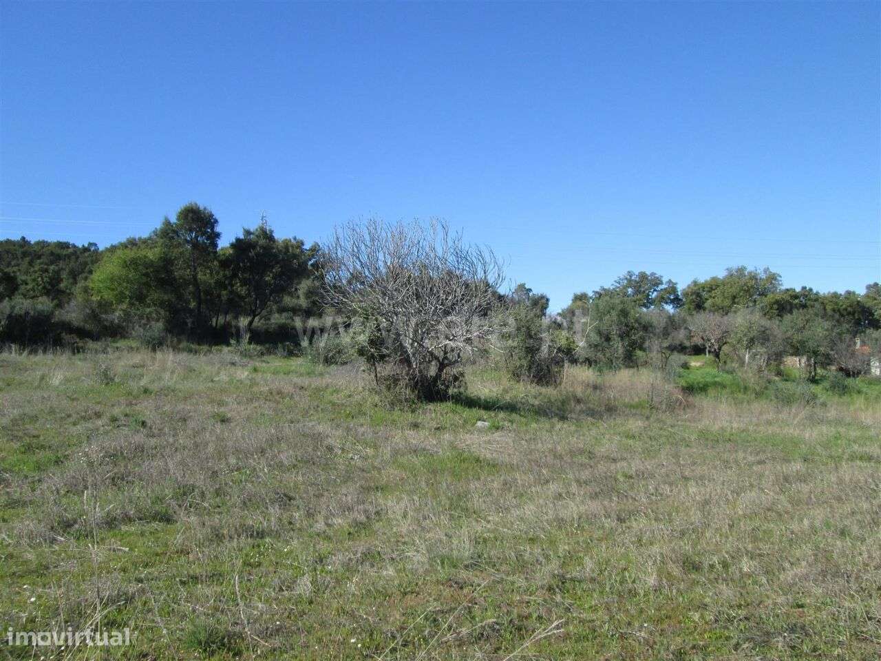 Terreno / Fundão, Telhado - Grande imagem: 2/6