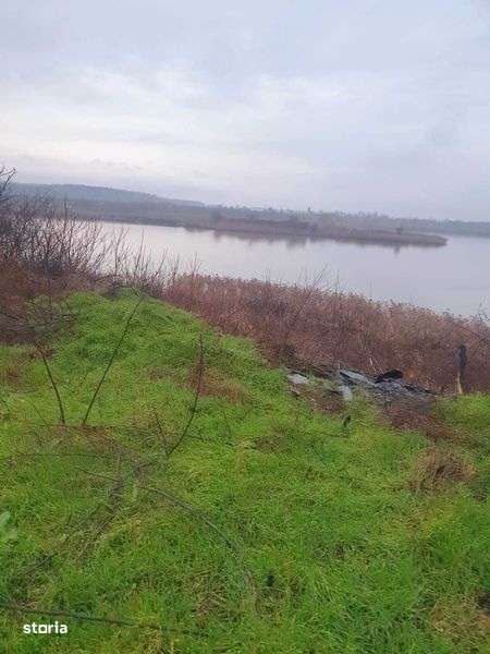 vanzare teren intravilan deschidere 109.49 m vedere rau Colentina - Imagine principală: 4/4