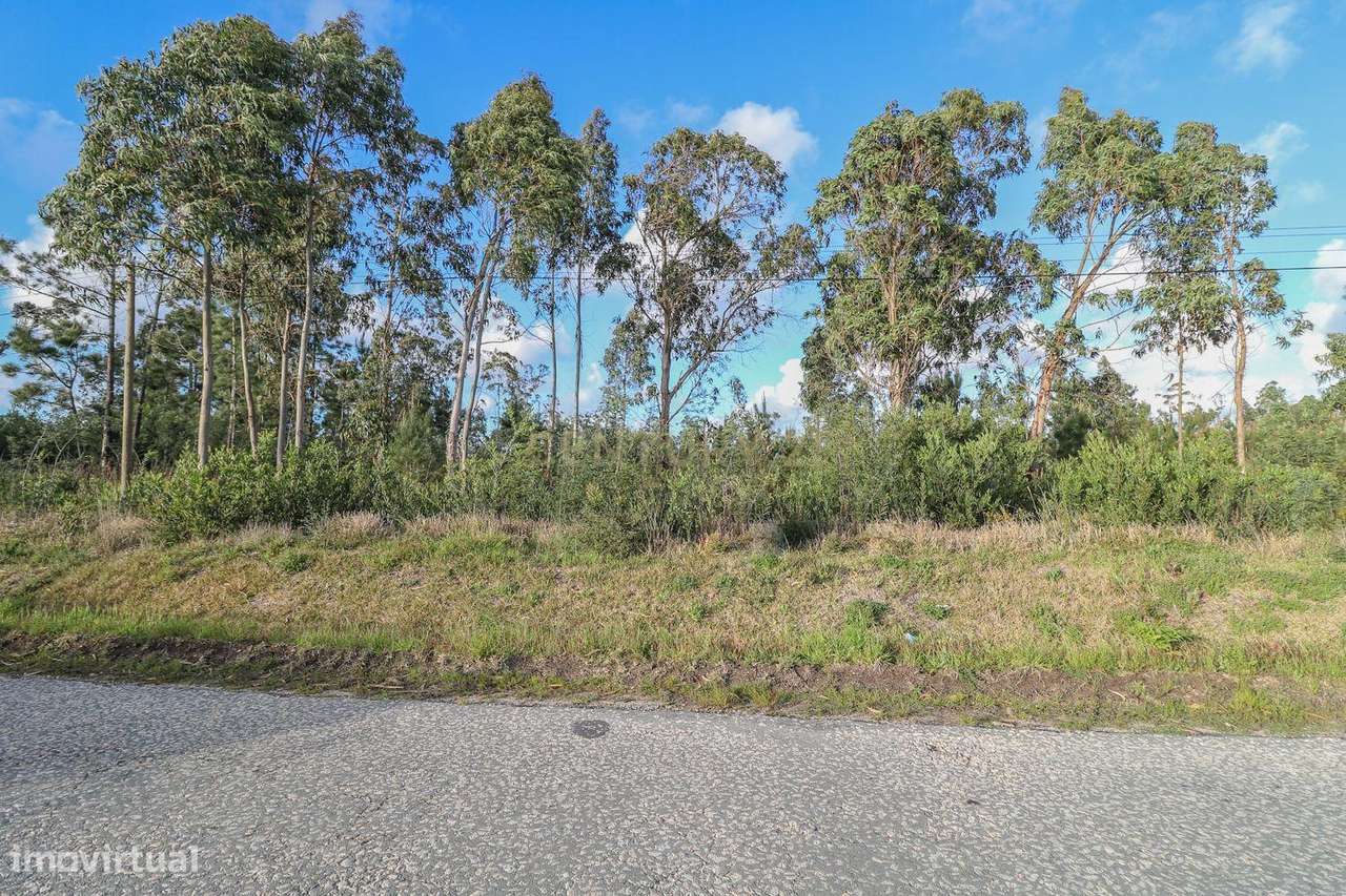 Terreno Rústico em Pombal com Licença de Construção - Grande imagem: 5/7