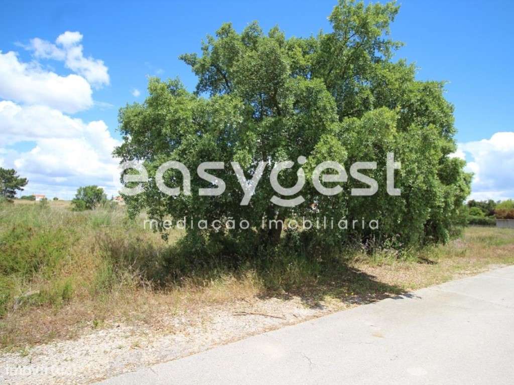 Terreno rústico - Poceirão e Marateca - Grande imagem: 2/2