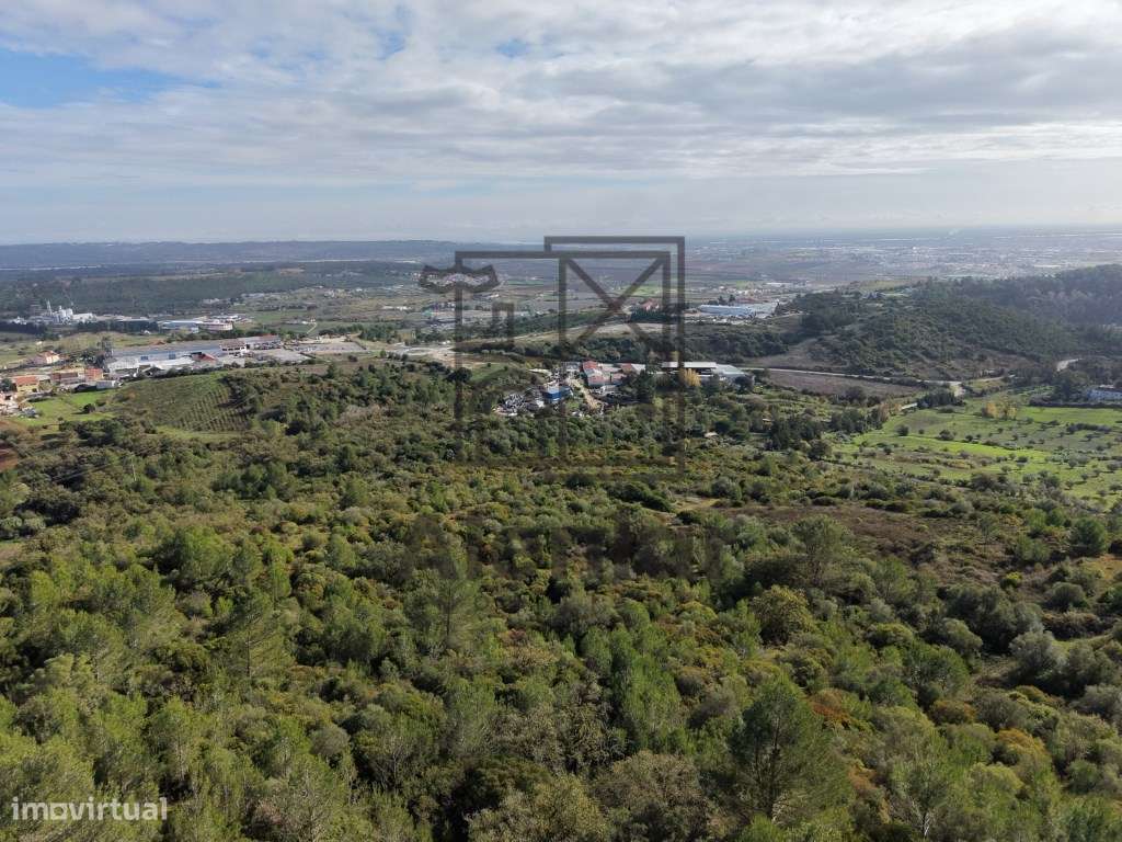 Oportunidade Única de Investimento Agrícola em Alenquer-12