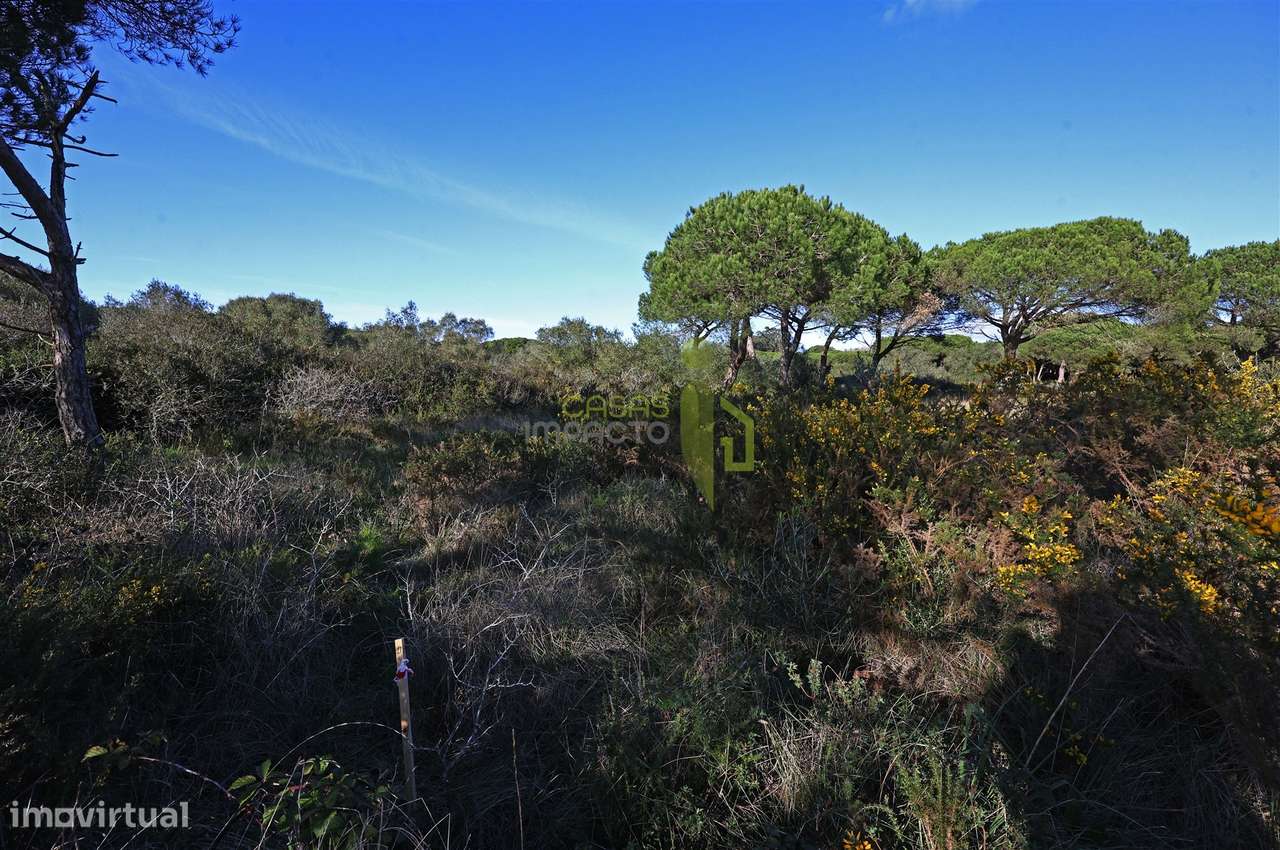 Terreno Rústico com 4.680m2 a venda na Terrugem-7