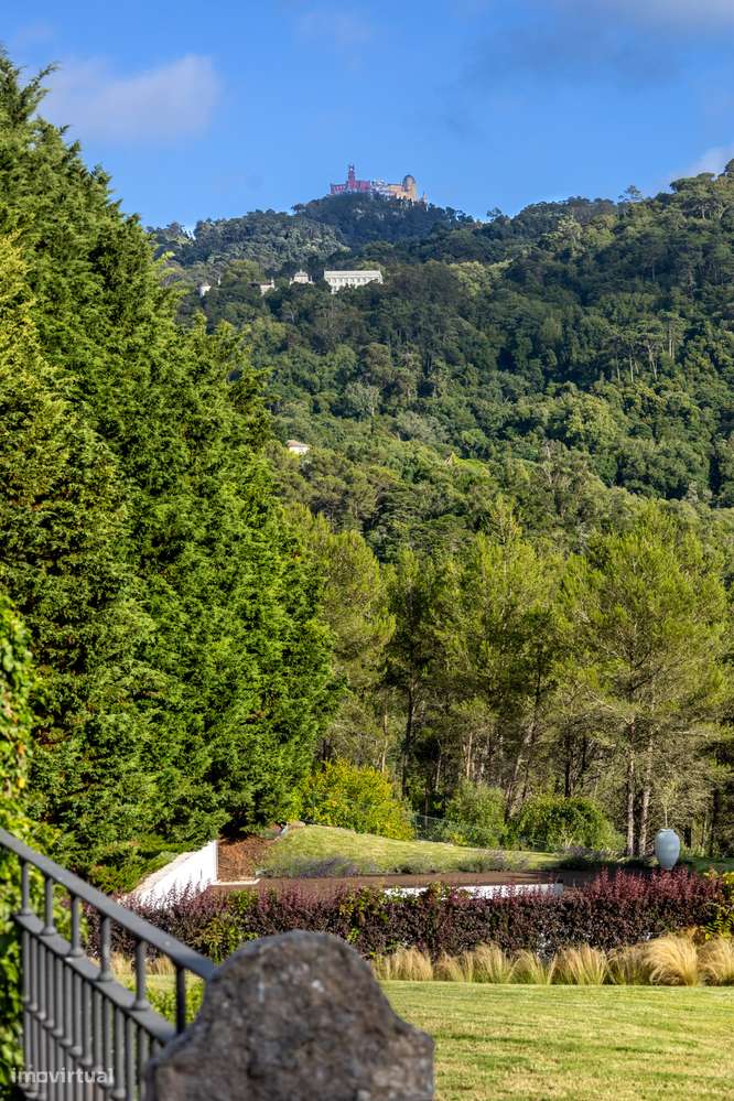 Timeless Elegance  - Sintra-57