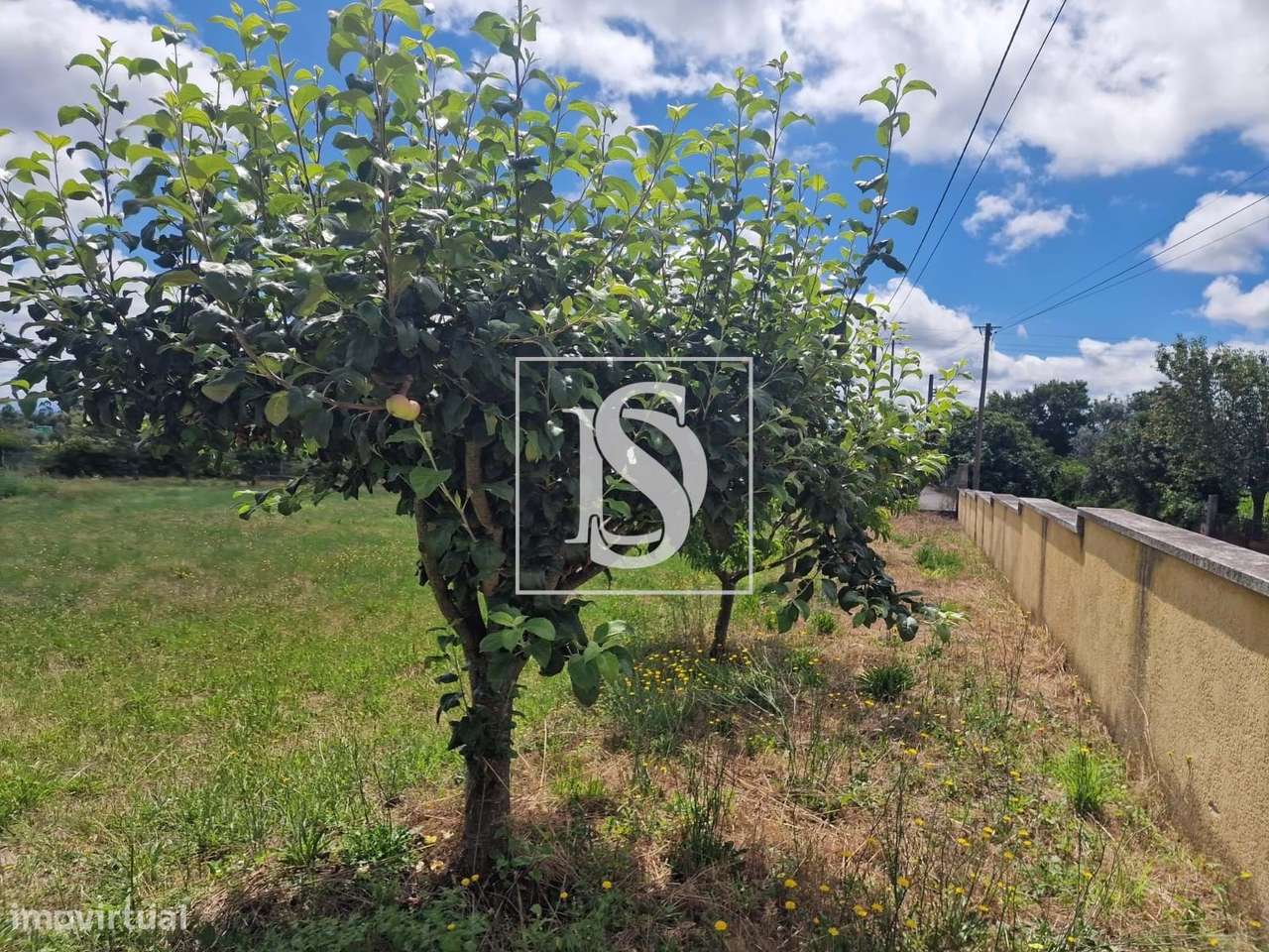 Terreno rústico em Mouraz com 2520m2 - Grande imagem: 4/4