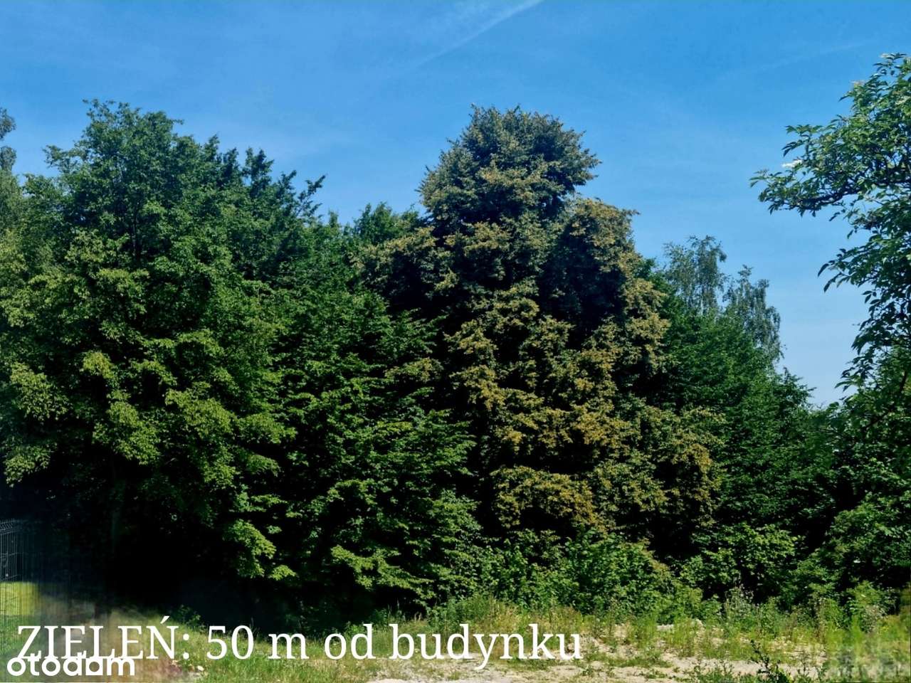 Segment jak dom, narożny, ogród, garaż, las, Ochojno przy Krakowie - Pełny obrazek: 4/17