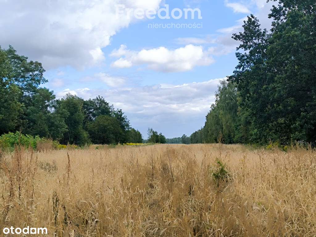 Siedlisko-Marków Towarzystw k/Mszczonowa - Pełny obrazek: 4/6