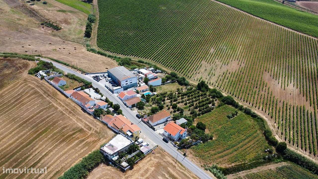 Pequena Quinta em Bonabal – Ventosa, Torres Vedras - Grande imagem: 5/10