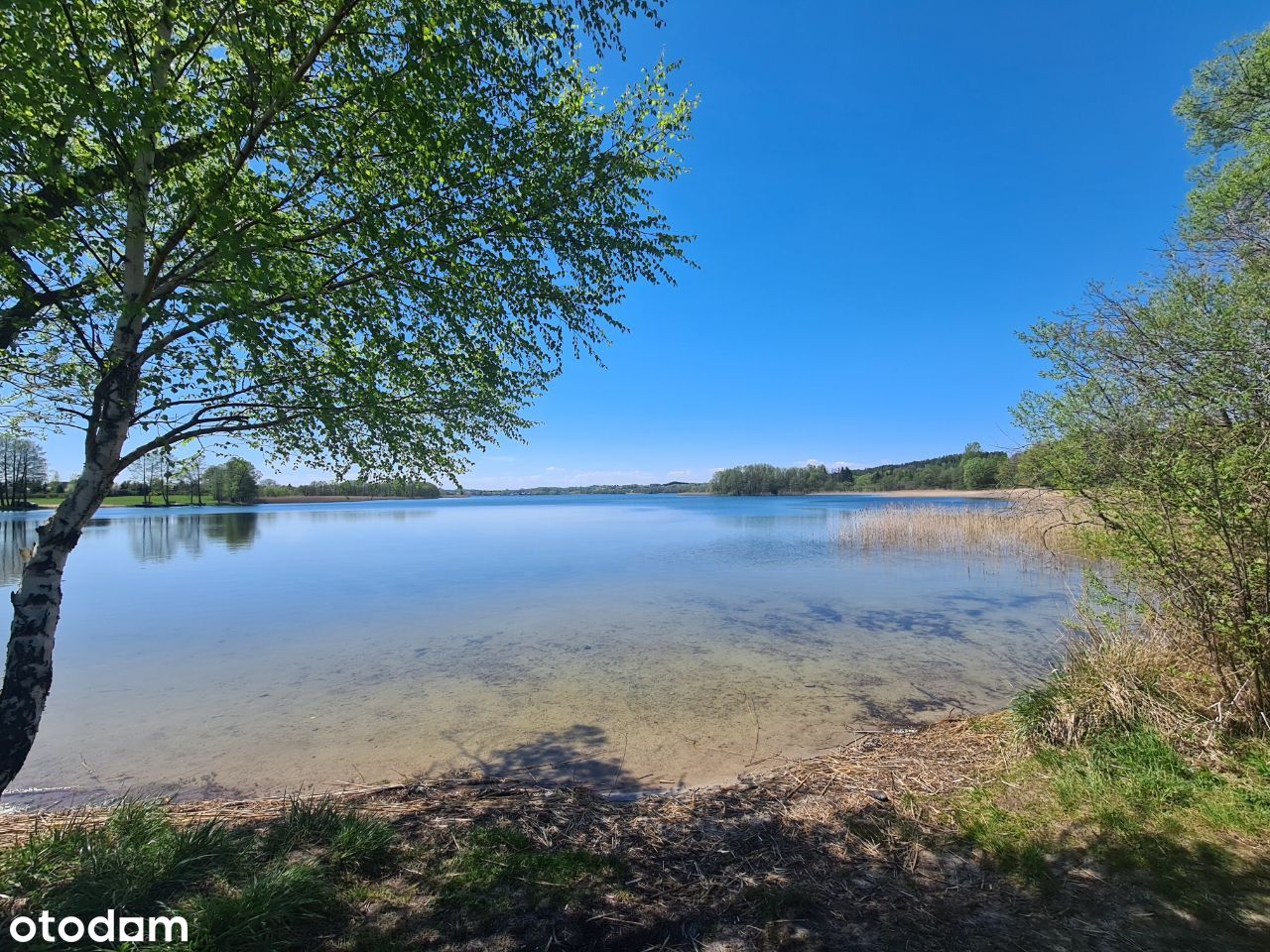 Piękna działka nad Jeziorem Łapalickim 6700m2