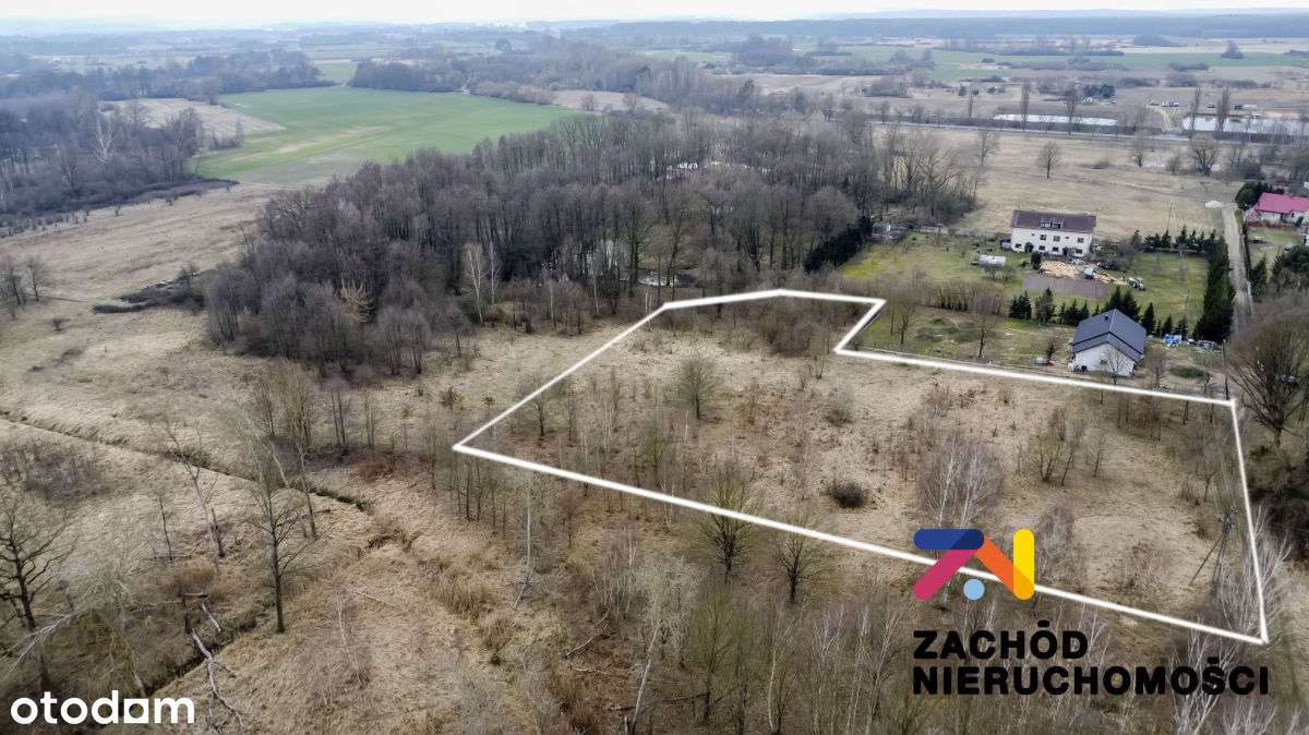 Kompleks Działek Leśna Góra - Pełny obrazek: 5/20