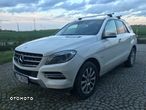 Mercedes-Benz ML 250 BlueTec 4-Matic - 6