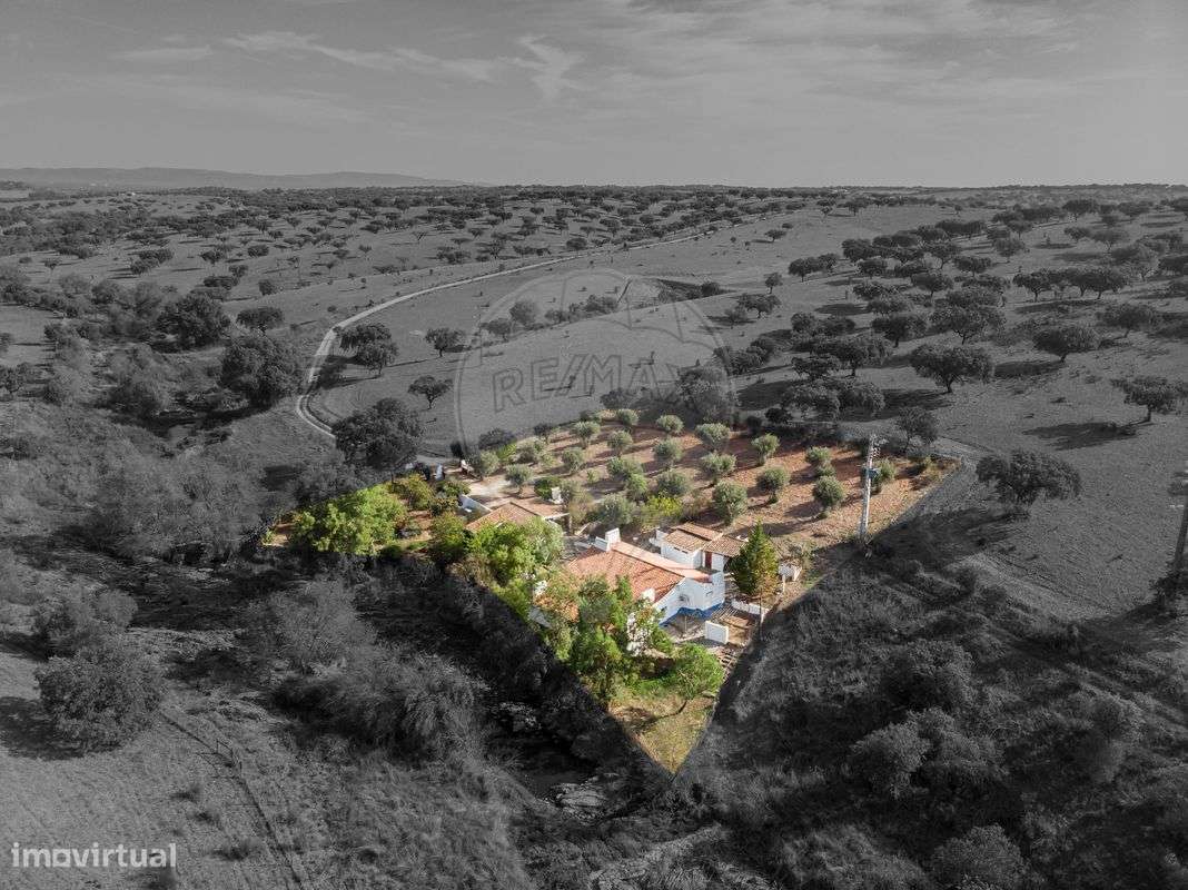 Quinta T4 para venda - Grande imagem: 5/41