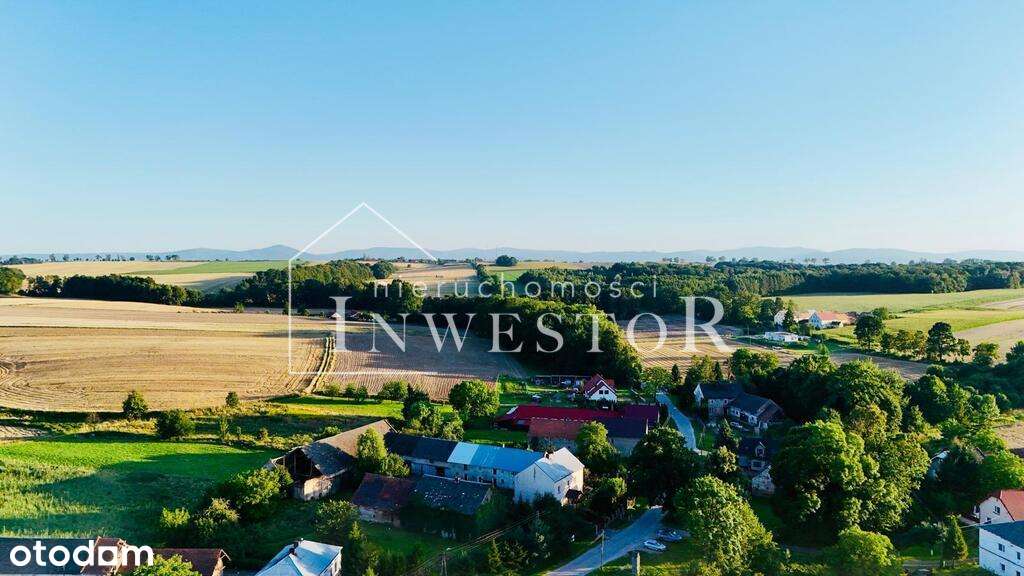 Dom z dużą działką Domaszkowice - Pełny obrazek: 4/5