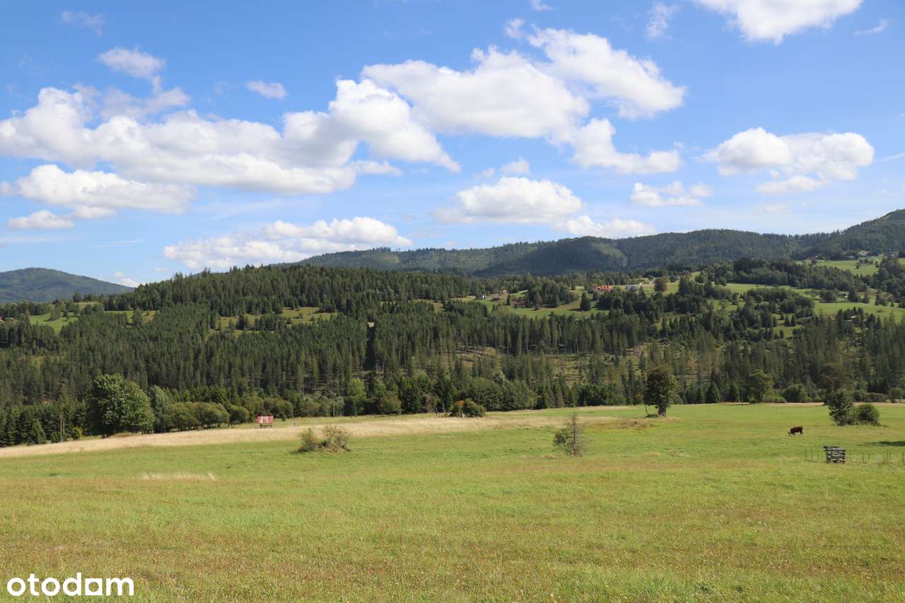 Działka do zabudowy, ok. 800mnpm, widok na góry i las - Pełny obrazek: 3/10