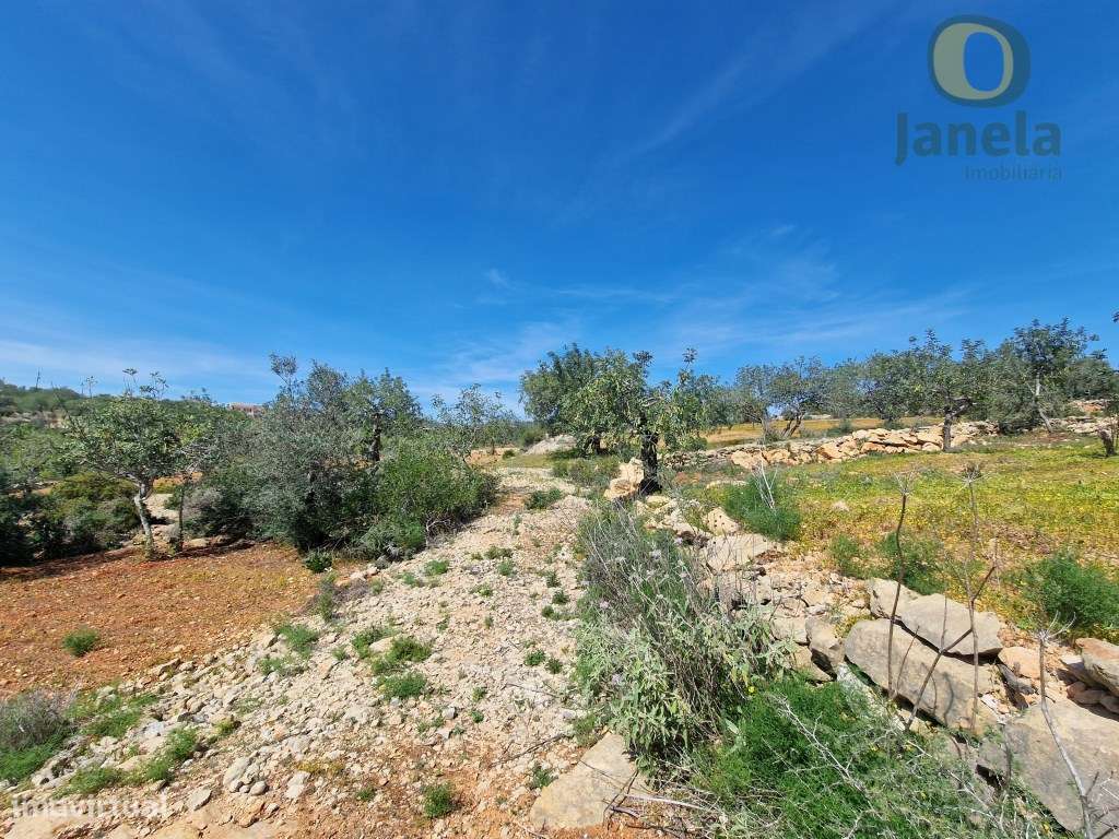 Terreno Rústico com vista mar - Grande imagem: 3/15