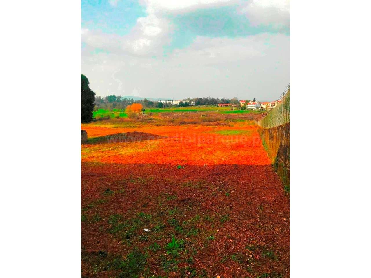 Quinta em Barcelos - Grande imagem: 3/5