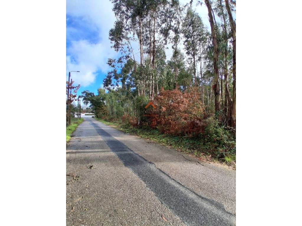 Terreno Urbano | 630m2 | Sangalhos - Grande imagem: 3/5