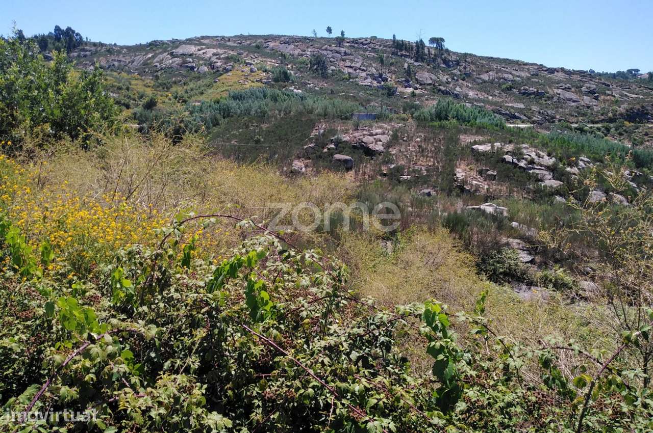 Terreno 2200m2 em Lagares da Beira - Coimbra - Grande imagem: 5/15