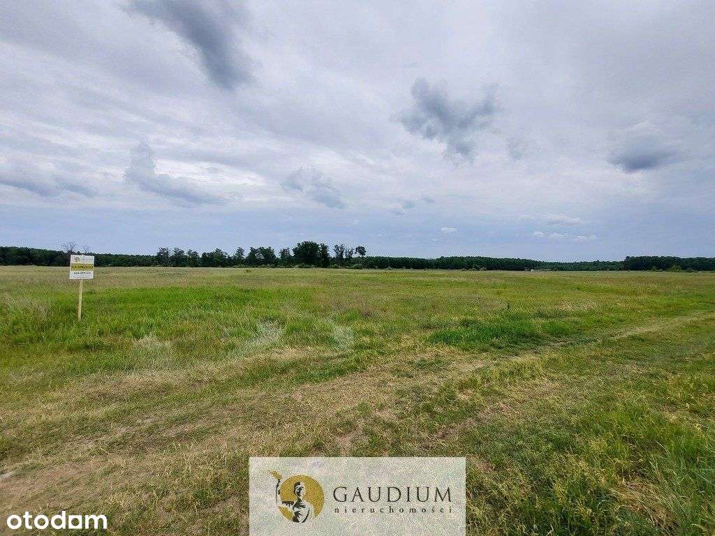 Turystyka nad brzegiem rzeki Obry-16