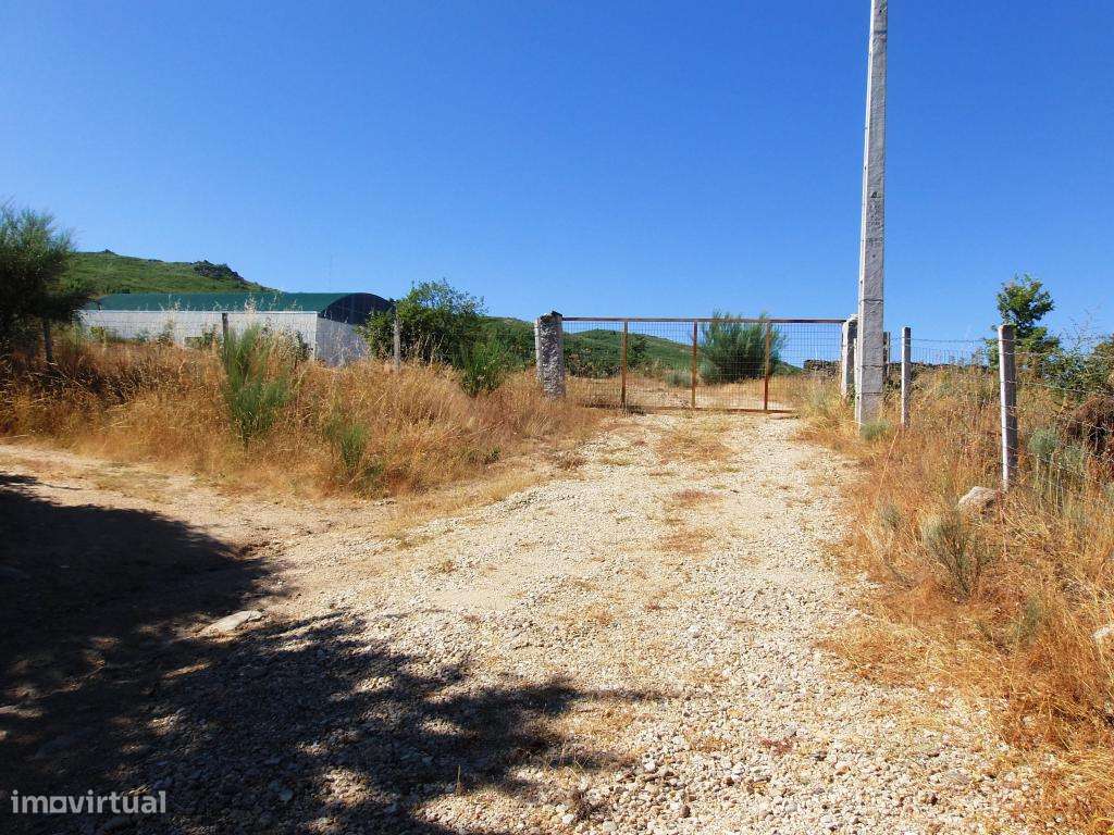 Quinta com exploração biologica - Grande imagem: 3/19