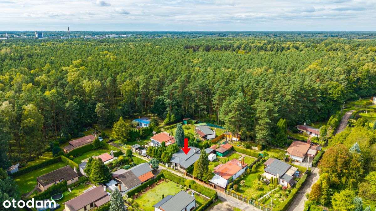 Dom całoroczny w lesie na ogródku działkowym - Pełny obrazek: 4/20