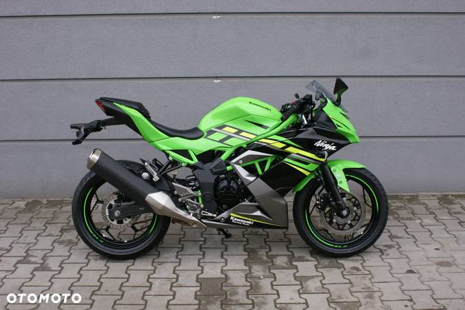 Kawasaki Ninja - 6