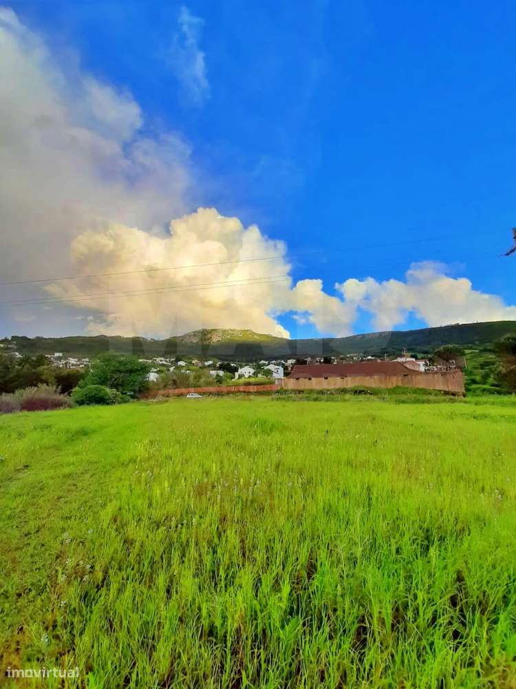 Terreno com 12.000 m² com viabilidade de construção - Grande imagem: 5/9
