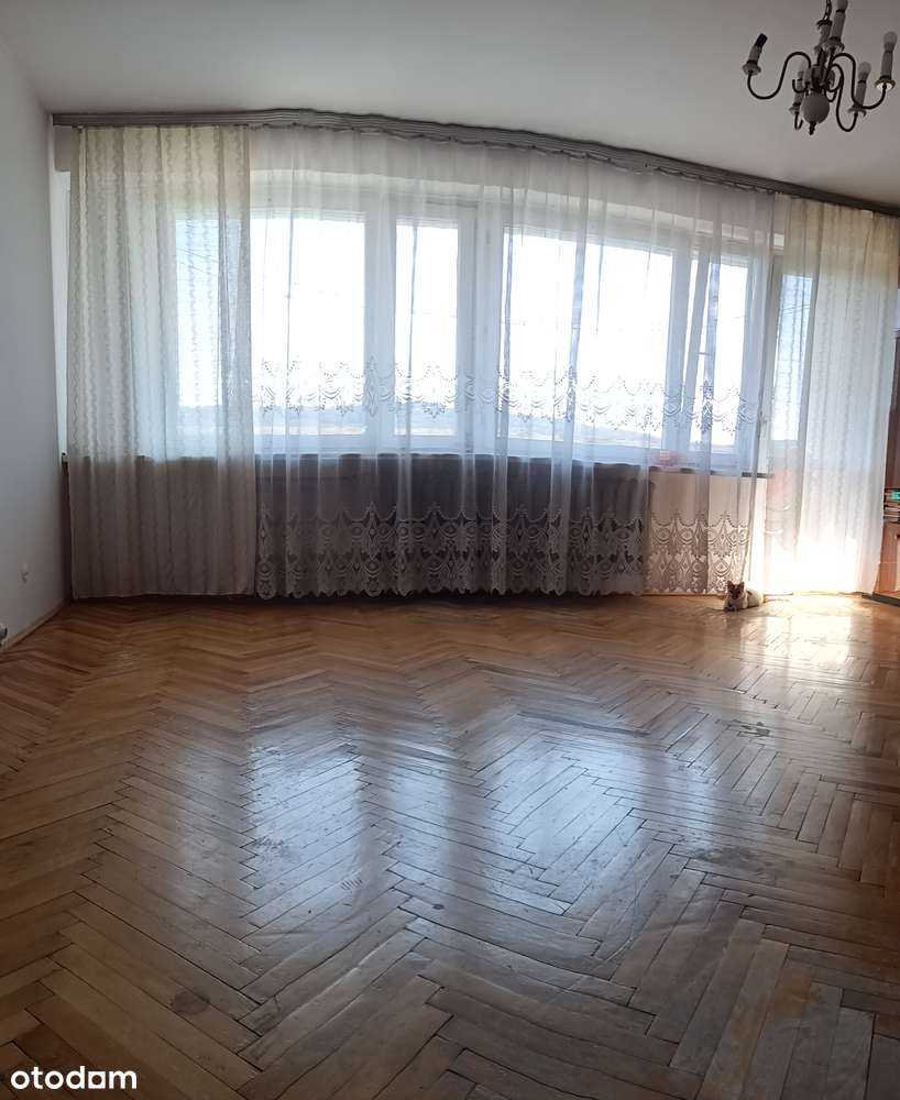 4-pokojowe mieszkanie na Zasaniu - Pełny obrazek: 2/8