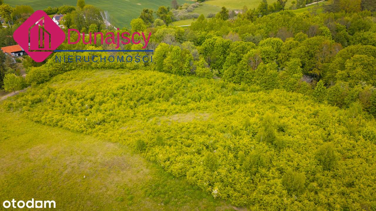 Działka, 3 016 m², Bukwałd - Pełny obrazek: 5/19