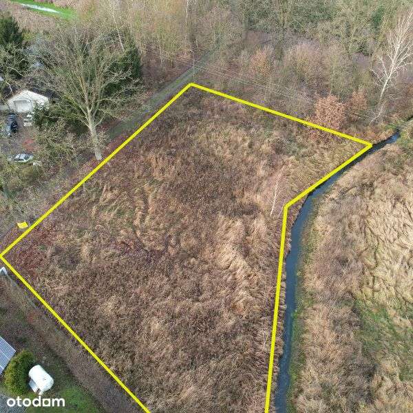 Budno działka sprzedaż 1545 m2 NOWA CENA Goleniów - Pełny obrazek: 2/4