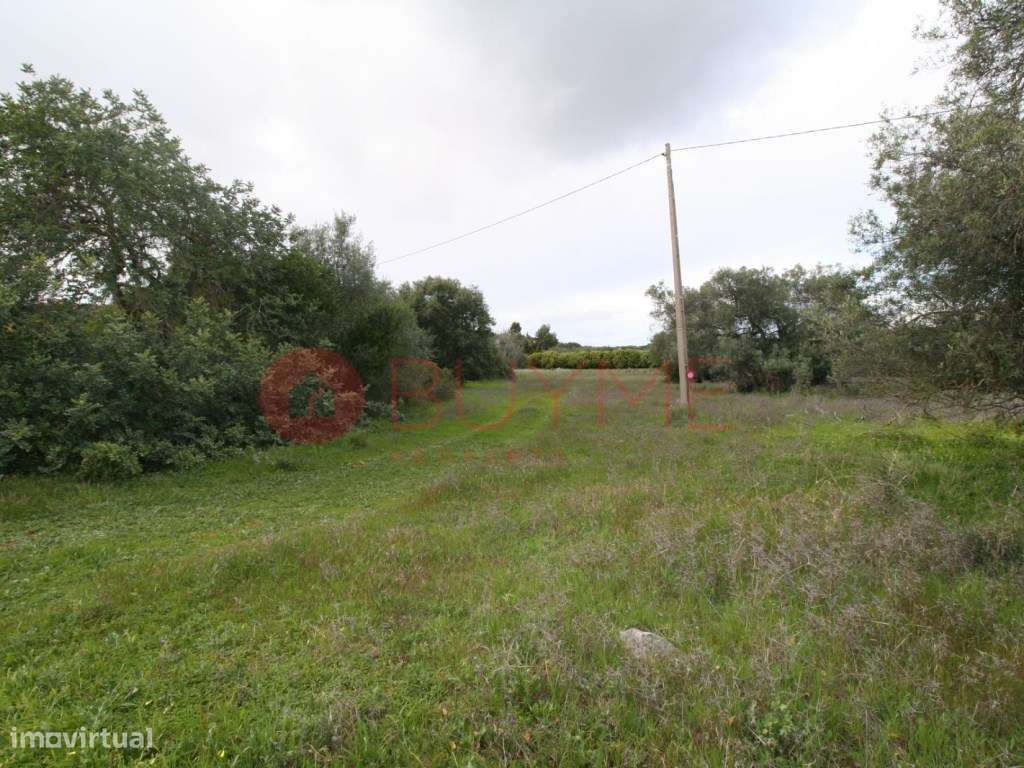 Terreno Rústico em Abelheira, Campina de Boliqueime - 6.507 m² de P... - Grande imagem: 4/4