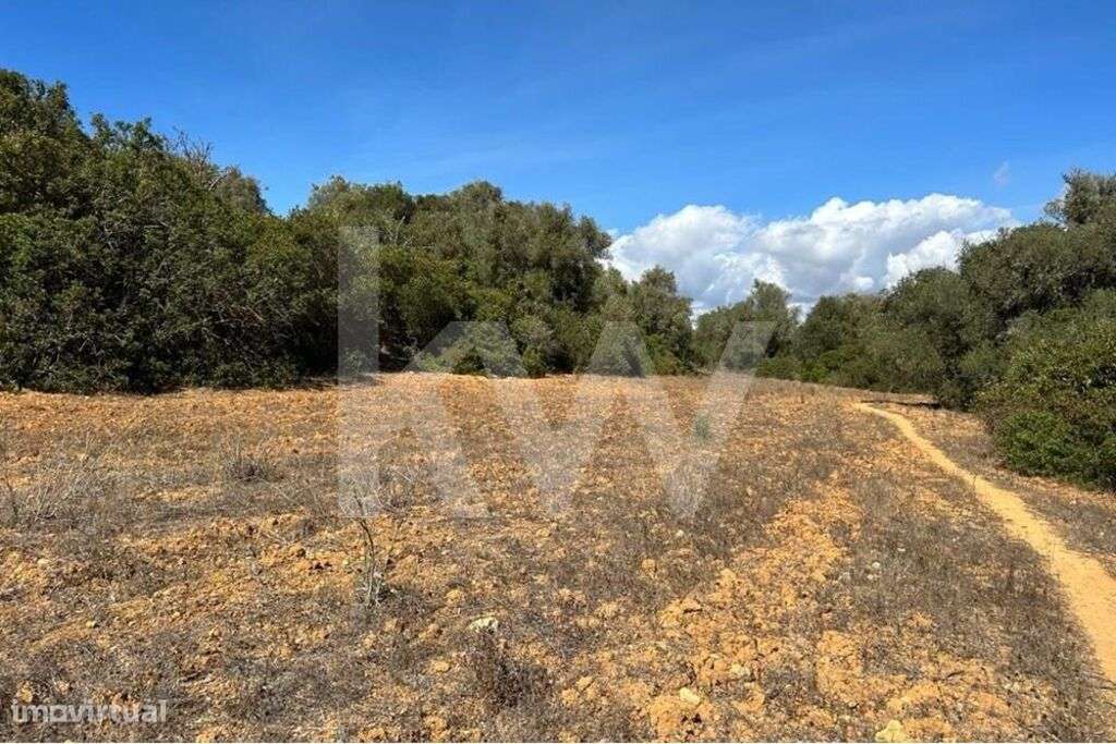 Terreno Rústico em Vale de El Rei, Lagoa -Perto das Praias - Grande imagem: 2/15