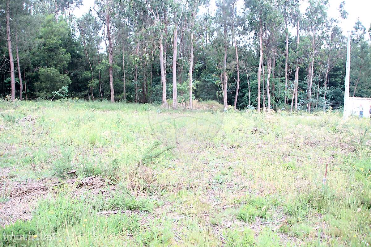 Terreno  para venda-24