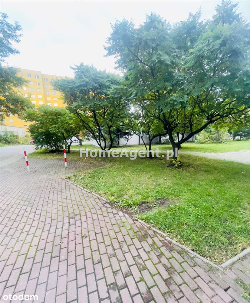 Świąteczna promocja cenowa. Lokal na sprzedaż.-19