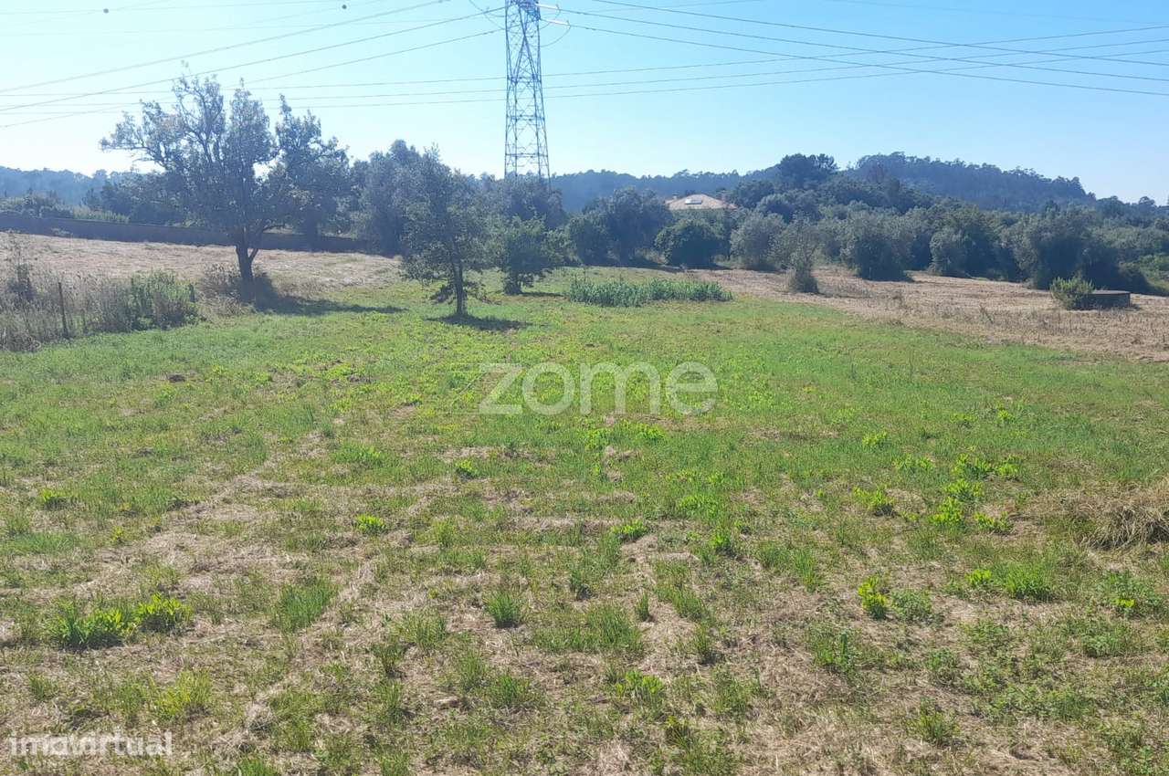 Terreno para construção em Vermoil - Grande imagem: 3/22