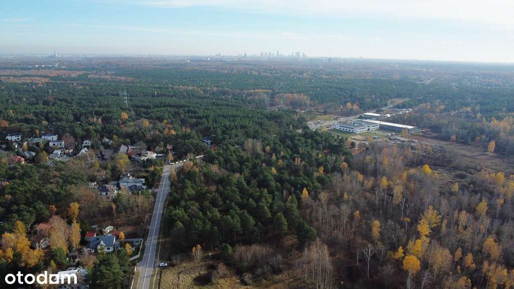 Dąbrowa Leśna, w Kampinoskim parku, MPZP, Unikat!!-5