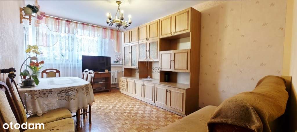 ul. Ścinawska  Rozkład/Balkon/Inwestycja/Piwnica - Pełny obrazek: 1/12