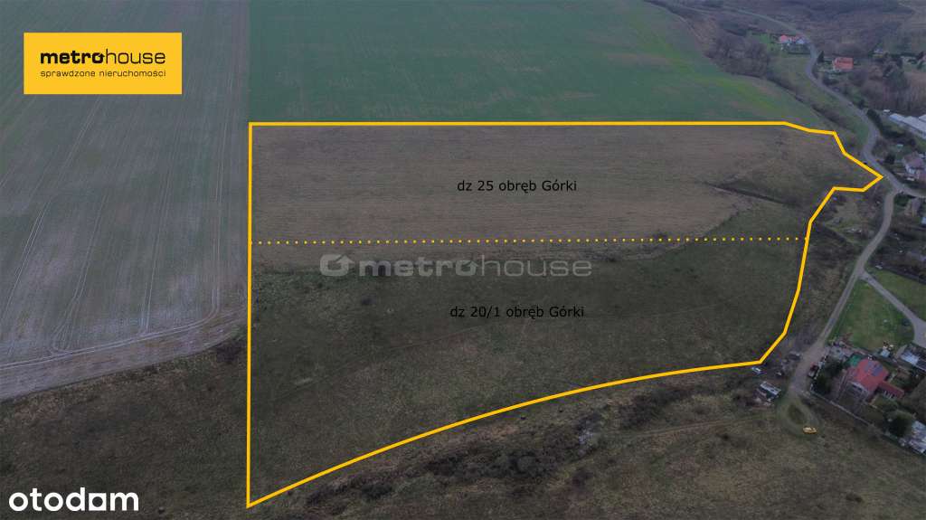 Ziemia rolna 6,15 ha w gm. Santok - Pełny obrazek: 4/6