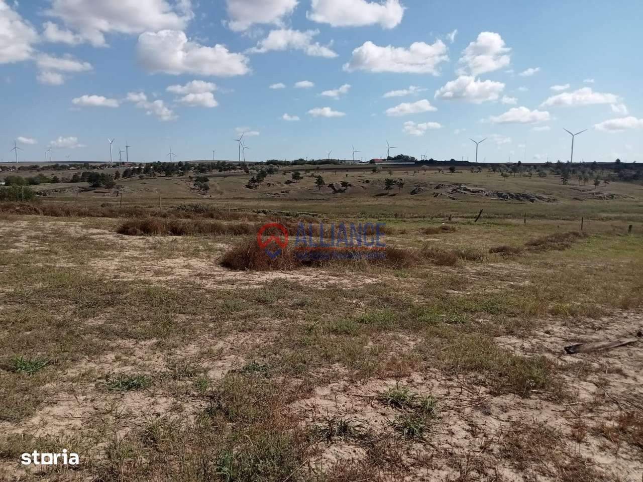 Teren intravilan 4.000 mp - Gradina, jud. Constanta-3