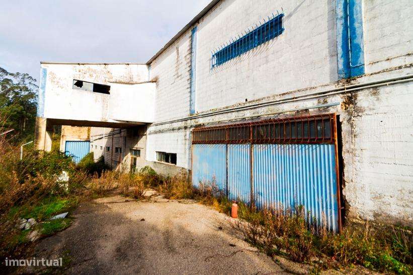 Prédio Industrial / Armazém – Maceirinha, Leiria - Grande imagem: 2/9